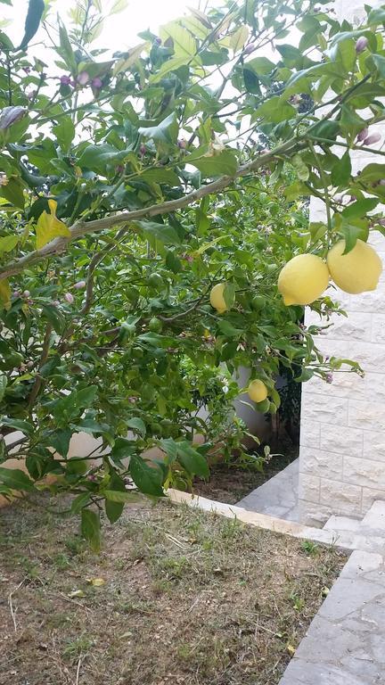 Vacation Villa Brac Splitska Zewnętrze zdjęcie